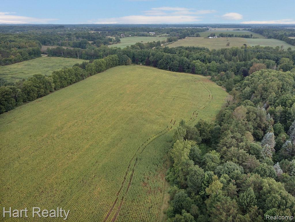 3373 June Road Property Photo 16