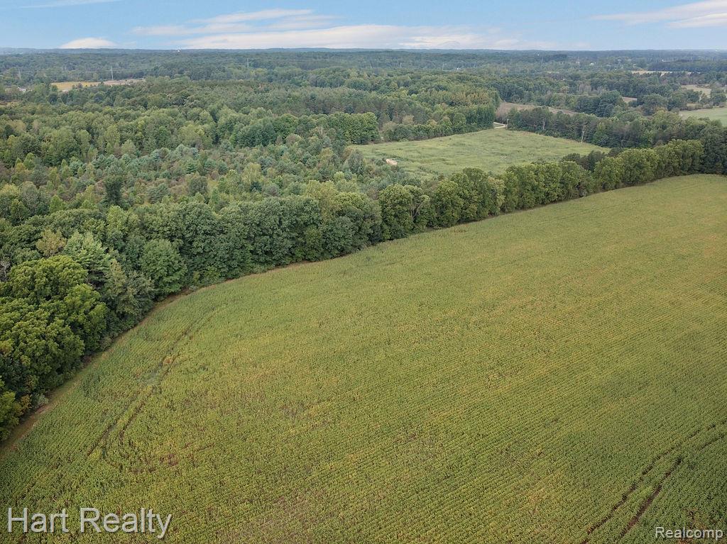 3373 June Road Property Photo 17