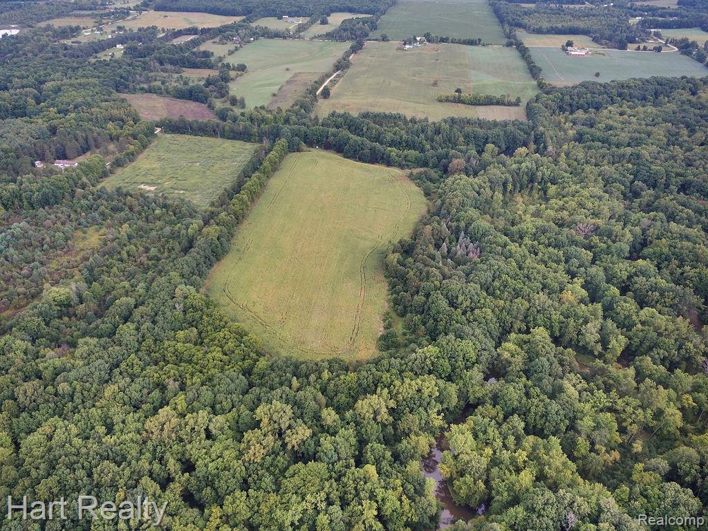 3373 June Road Property Photo 18
