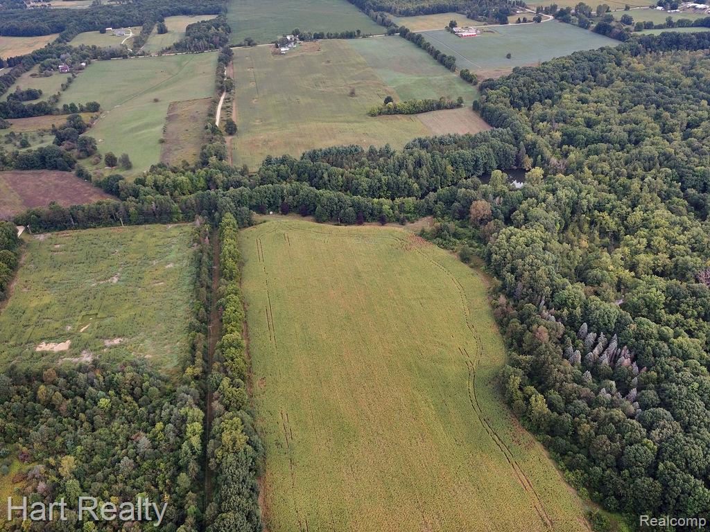 3373 June Road Property Photo 19