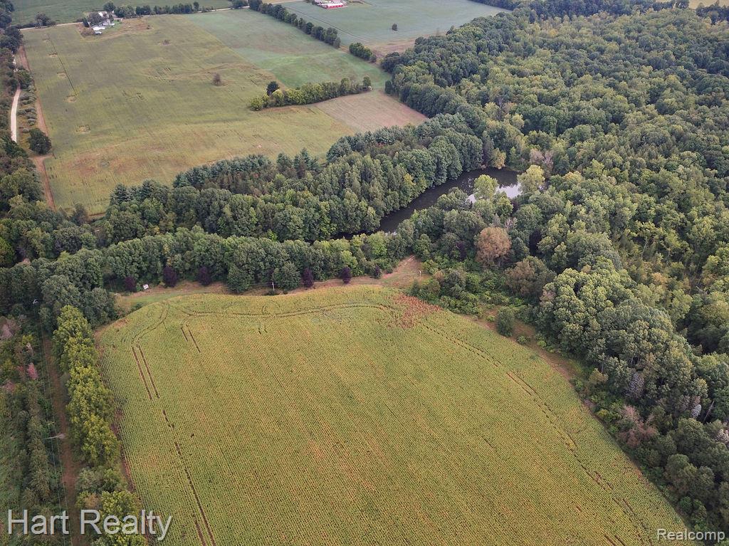 3373 June Road Property Photo 21