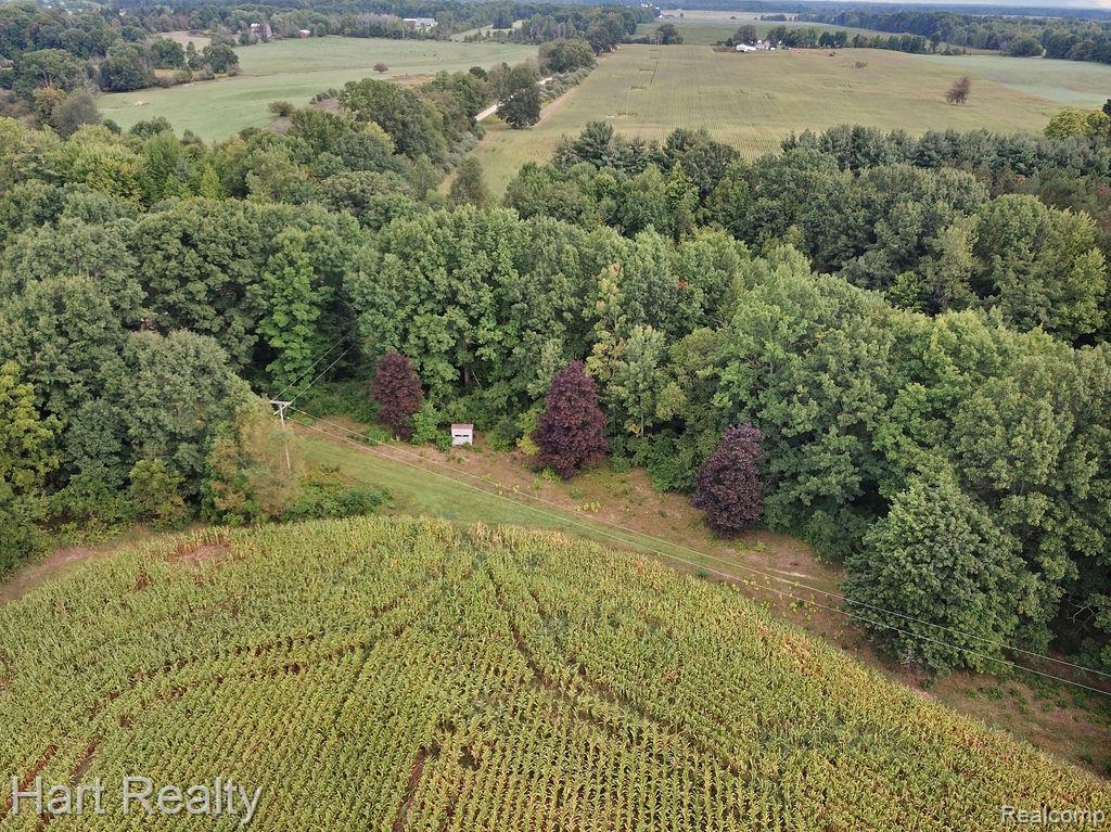 3373 June Road Property Photo 22