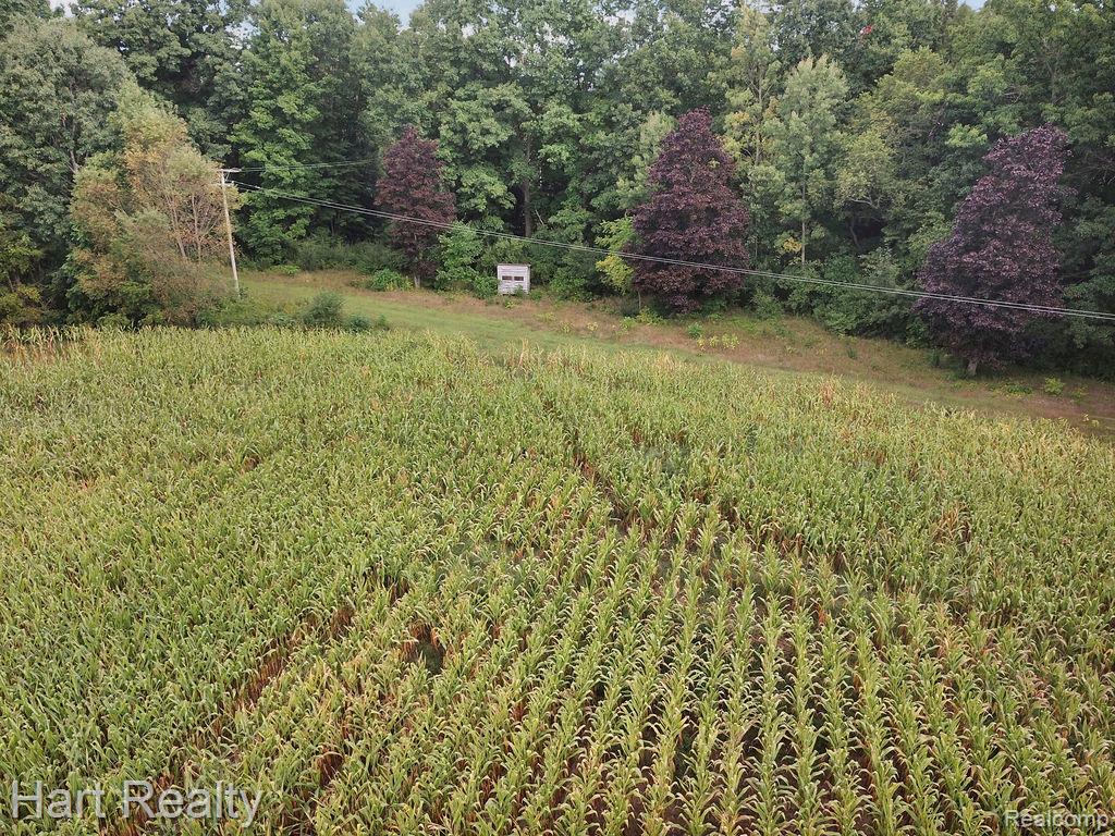 3373 June Road Property Photo 23