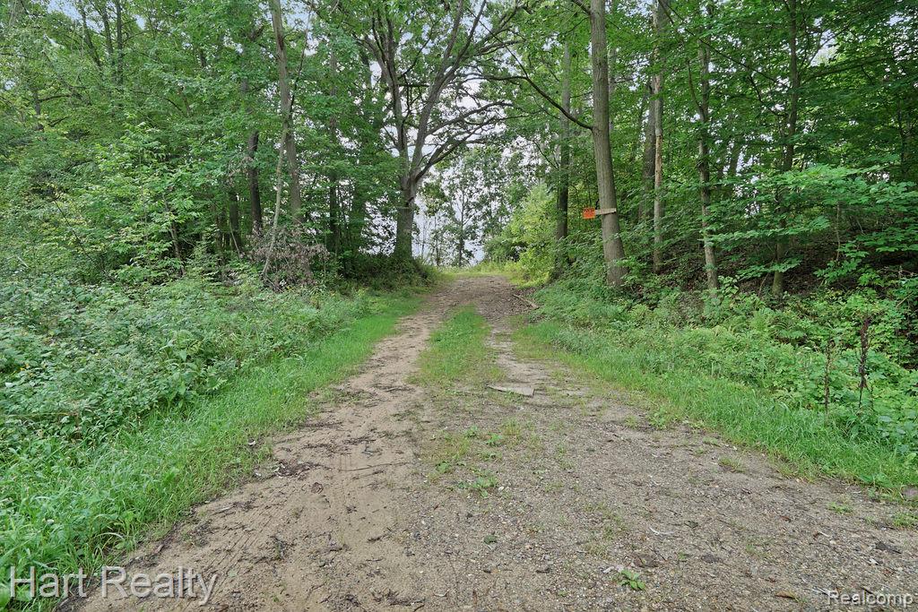 3373 June Road Property Photo 24