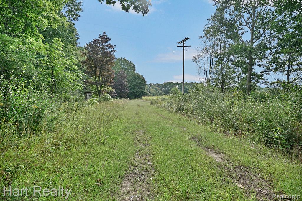 3373 June Road Property Photo 25