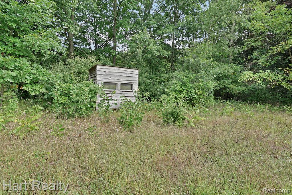 3373 June Road Property Photo 26