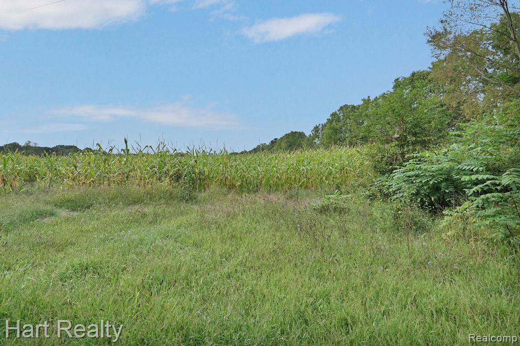 3373 June Road Property Photo 27