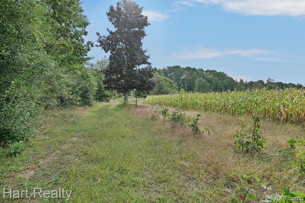 3373 June Road Property Photo 28
