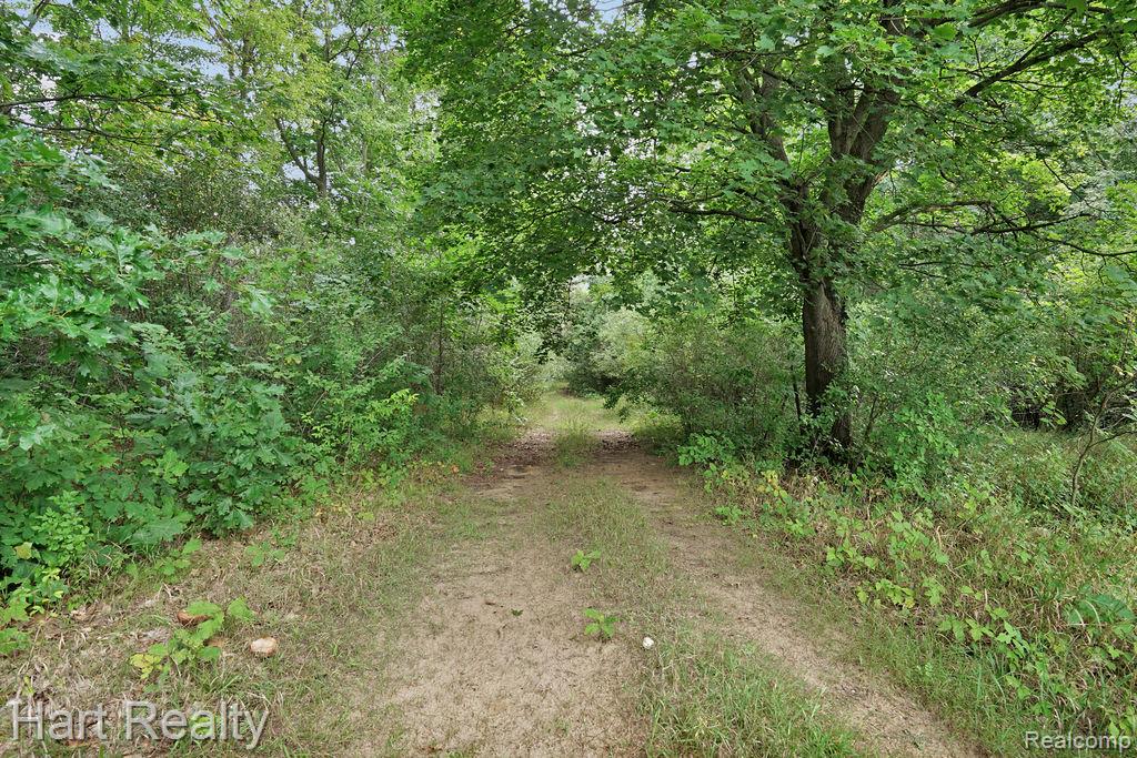 3373 June Road Property Photo 29