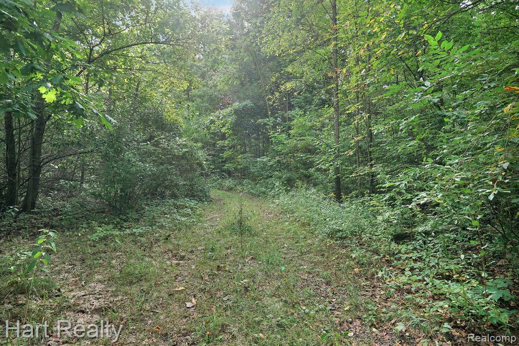 3373 June Road Property Photo 32