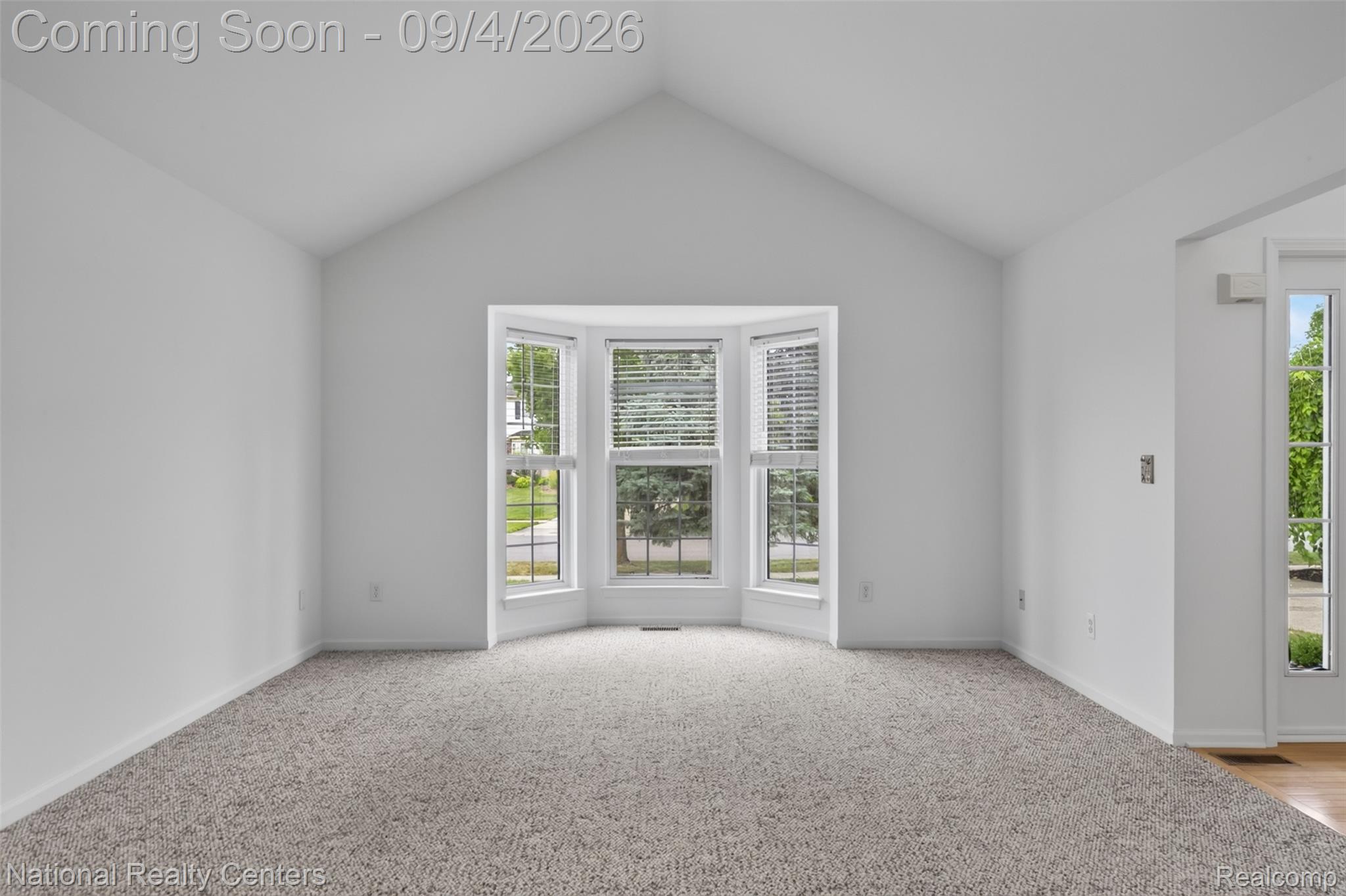 2707 Cook Creek Drive Property Photo 7