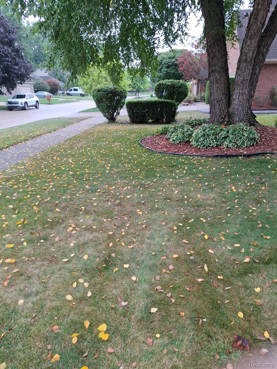 46793 Springwood Drive Property Photo 5