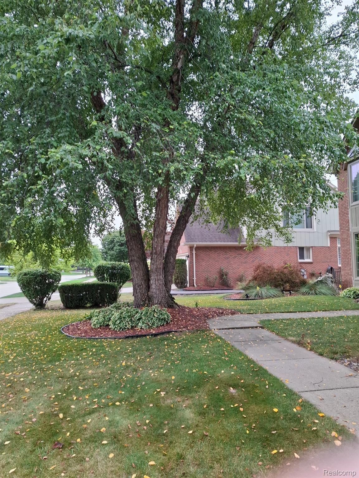 46793 Springwood Drive Property Photo 6