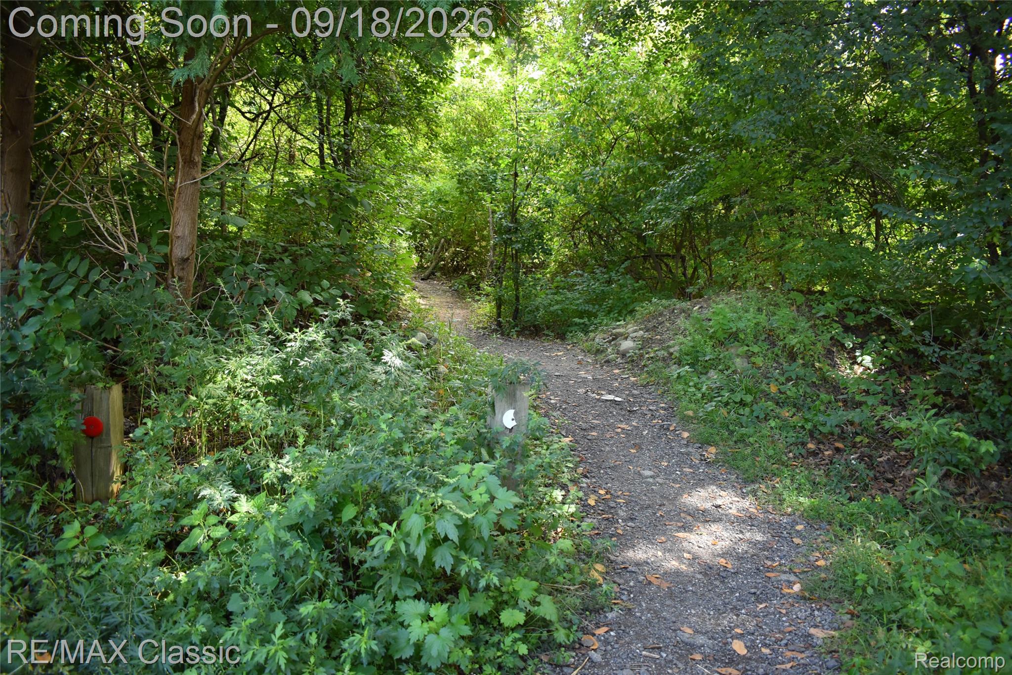 2899 Current Drive Property Photo 57