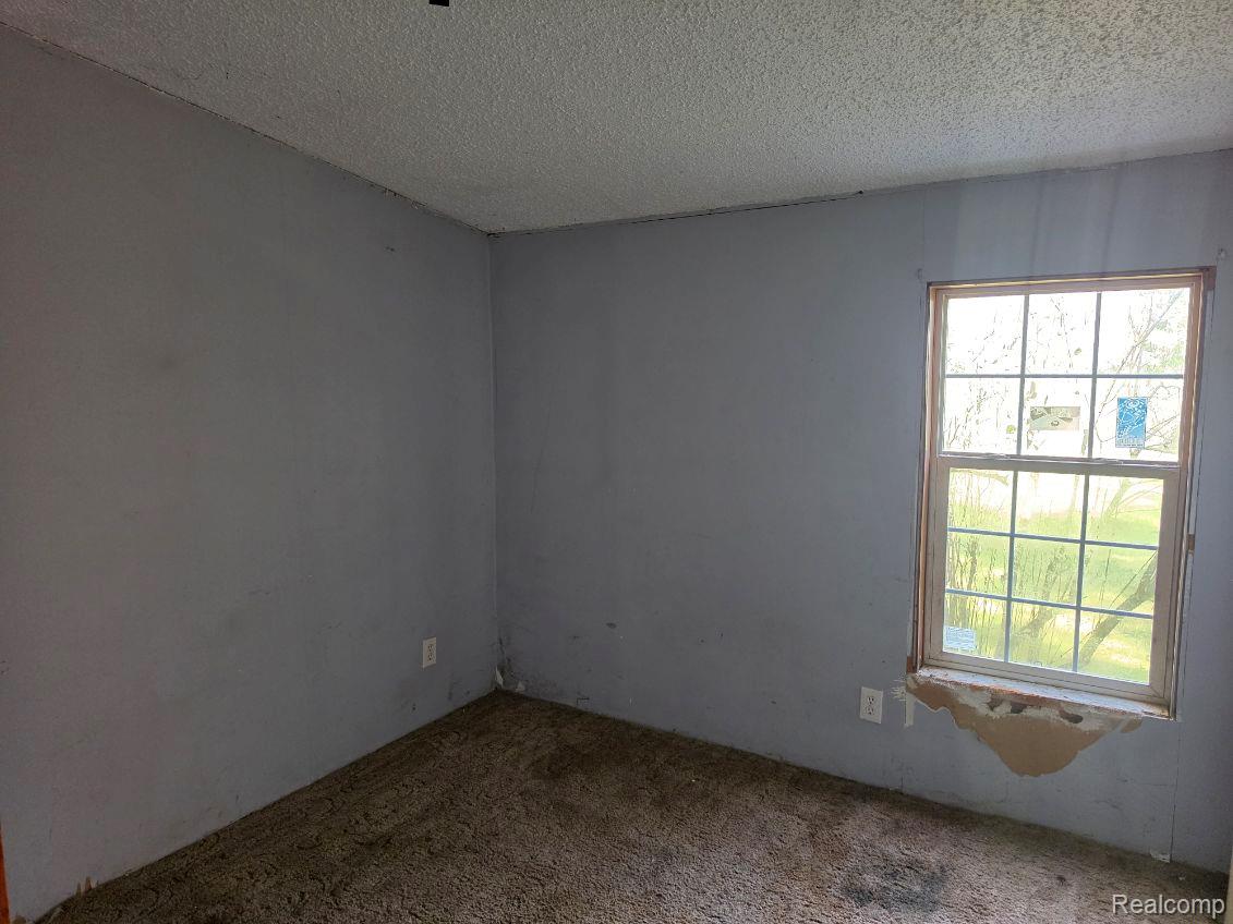 3897 Swaffer Road Property Photo 11