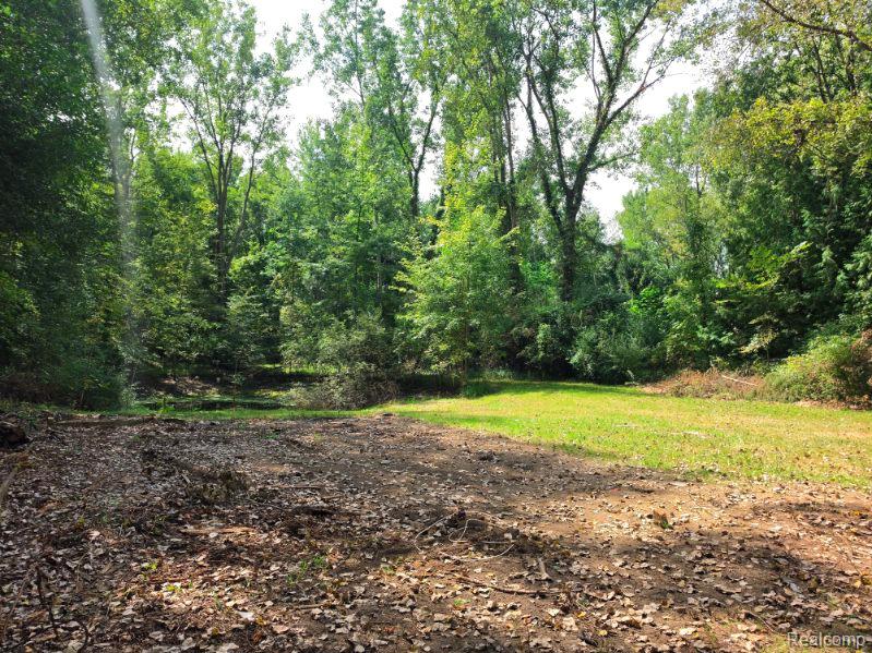 3897 Swaffer Road Property Photo 16