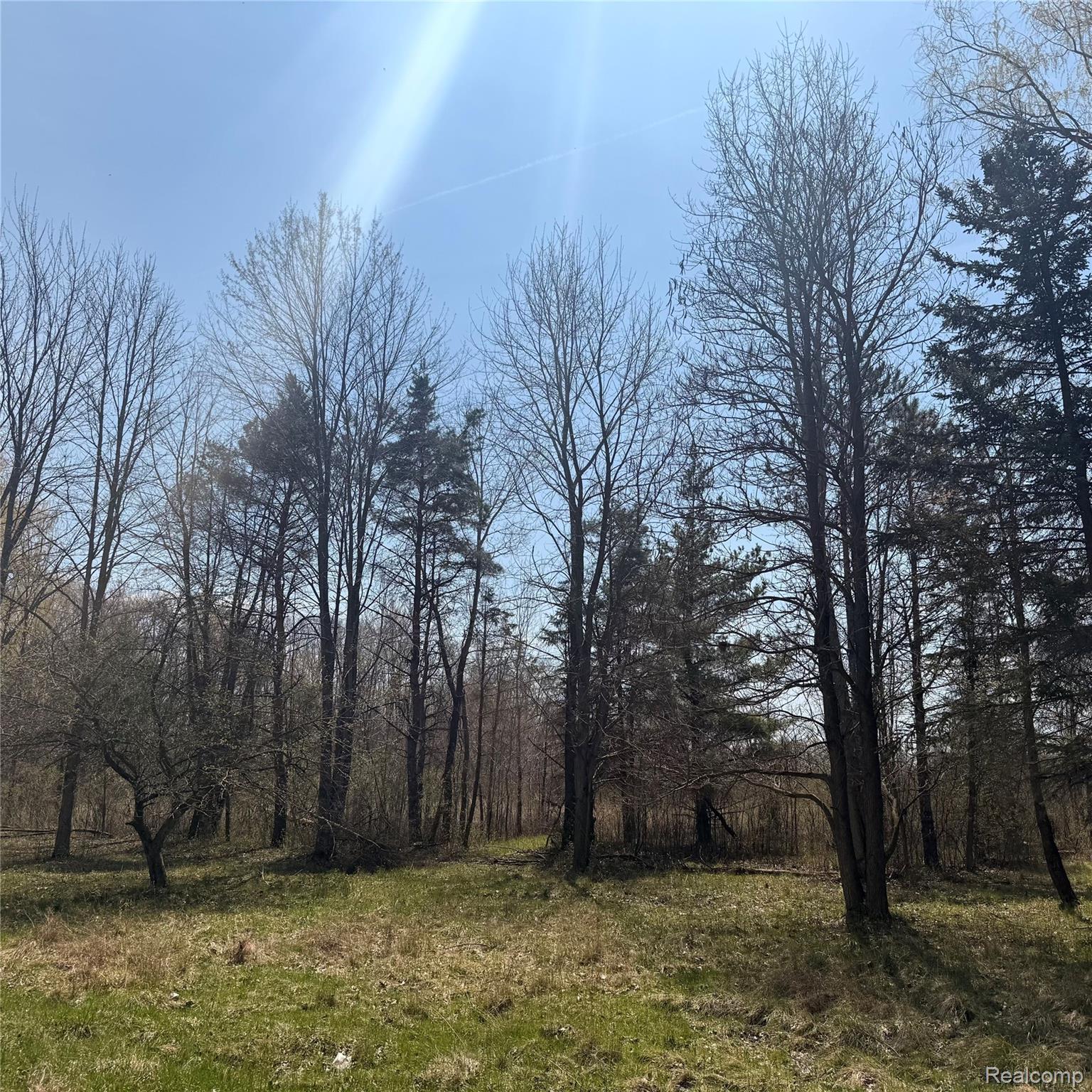 11779 Dunn Road Property Photo 6