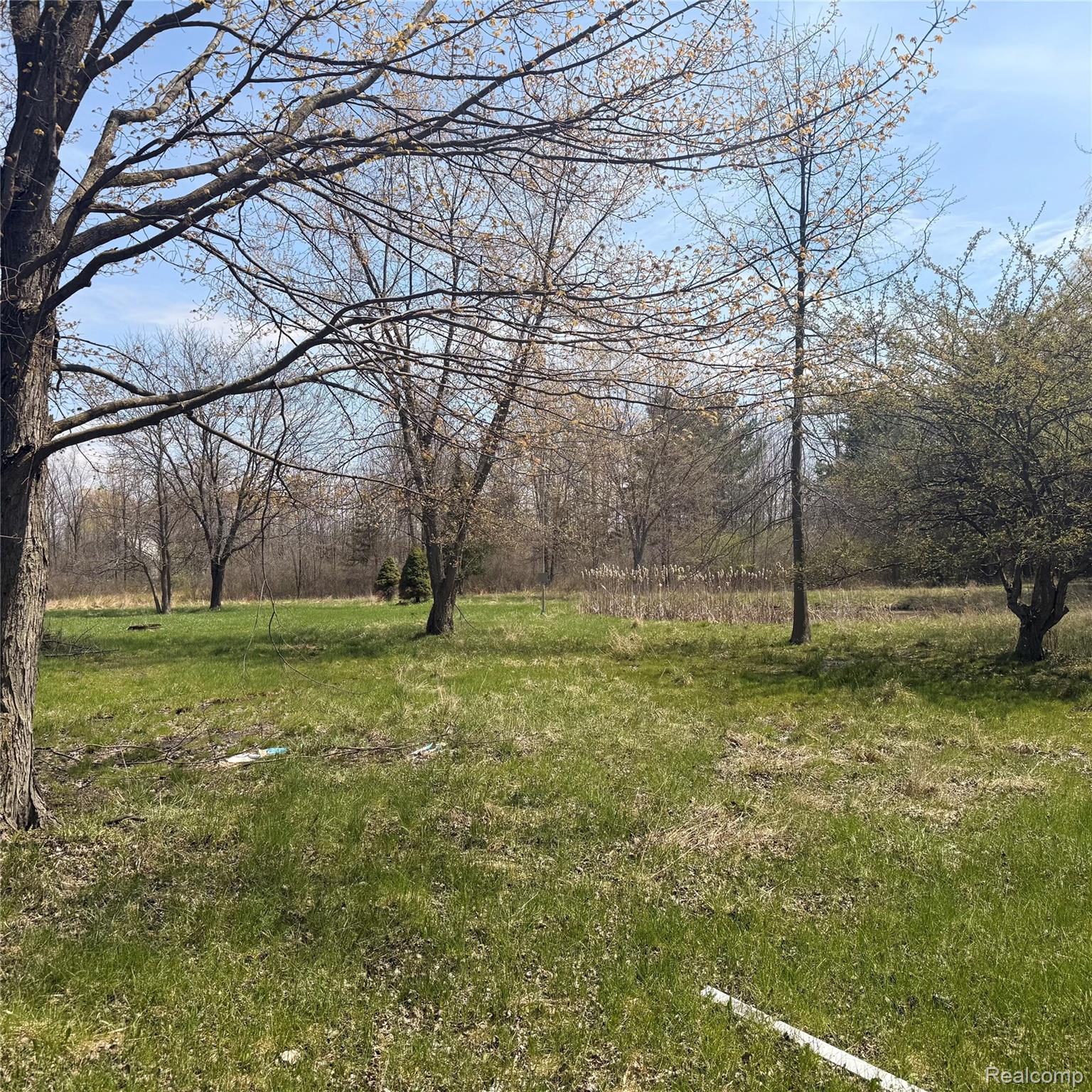 11779 Dunn Road Property Photo 7
