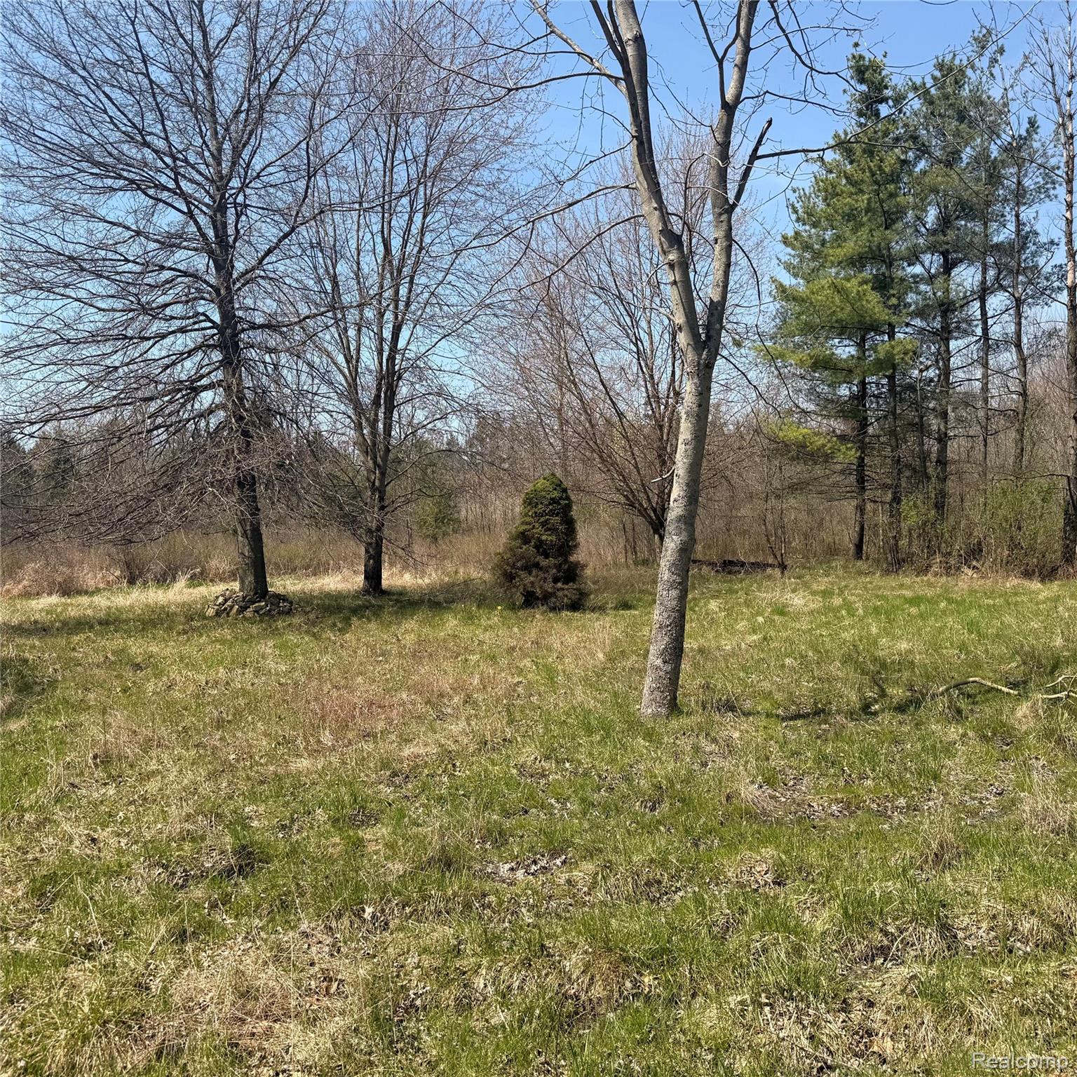 11779 Dunn Road Property Photo 8