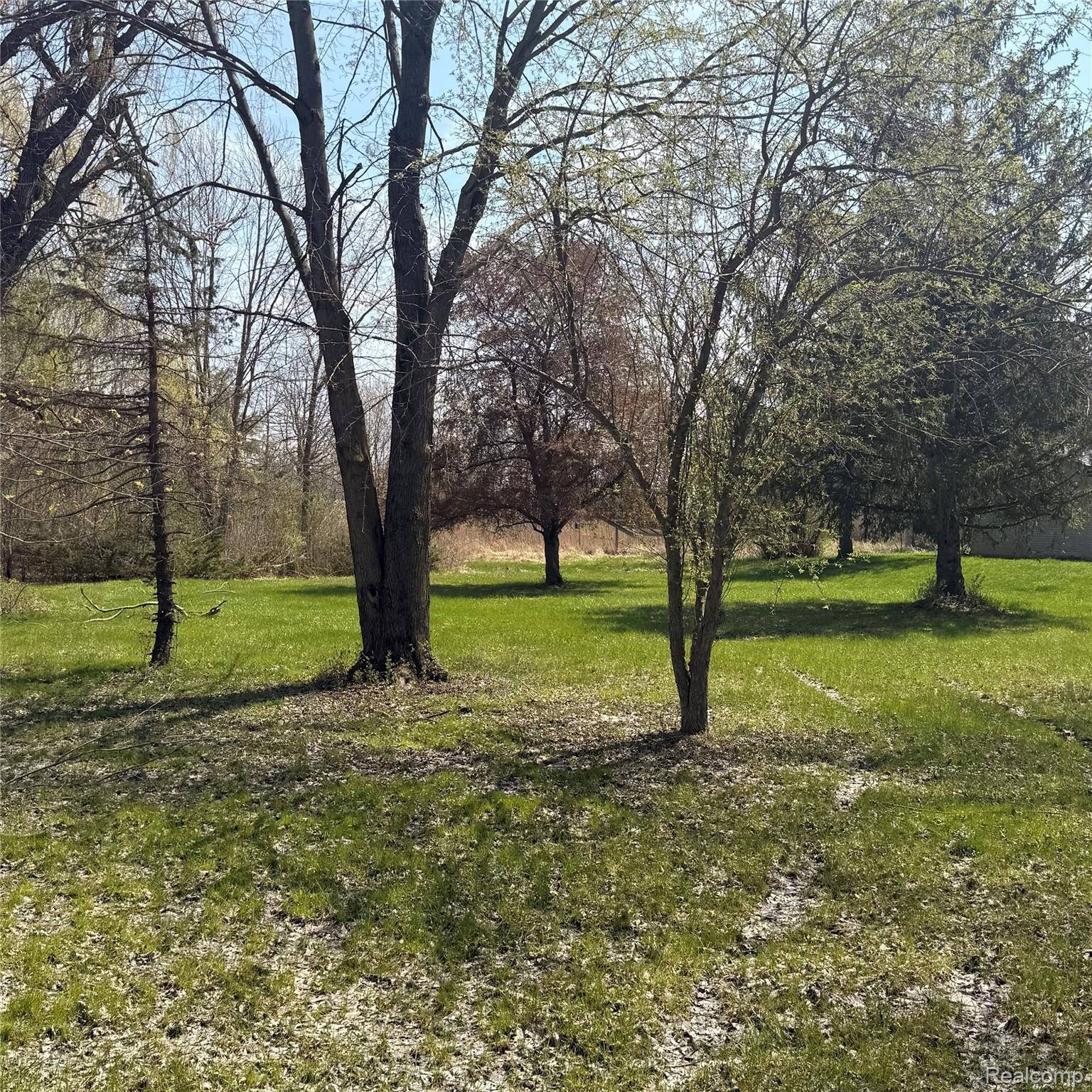 11779 Dunn Road Property Photo 9