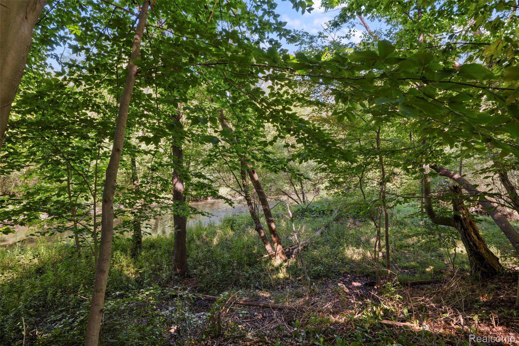 1830 Streamedge Court Property Photo 32