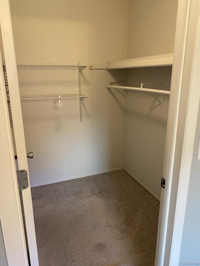 20404 Birch Meadow Drive Property Photo 6