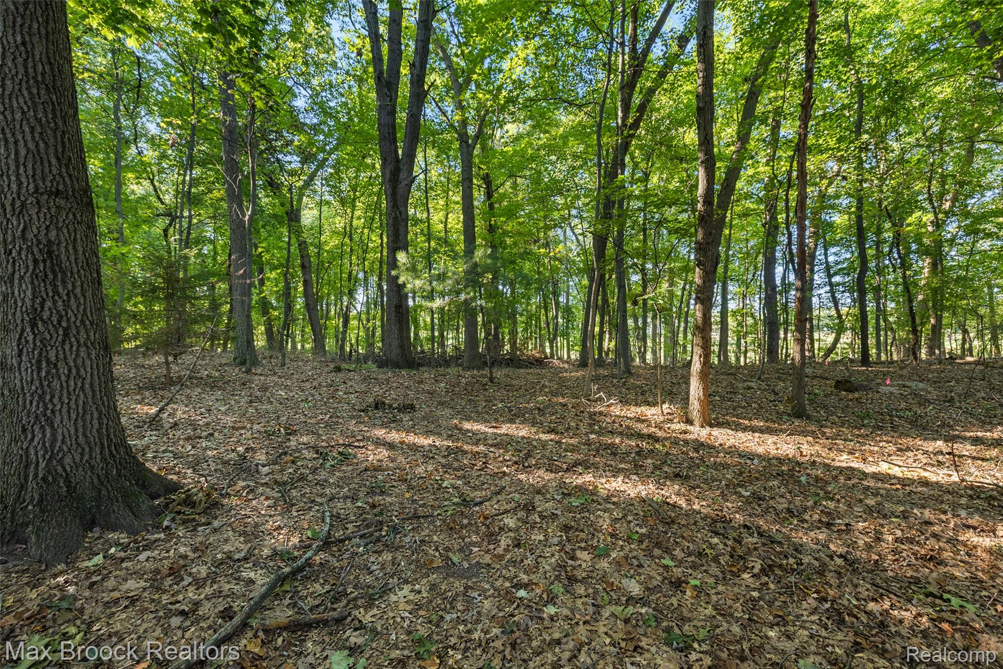 5405 Possum Lane Property Photo 54