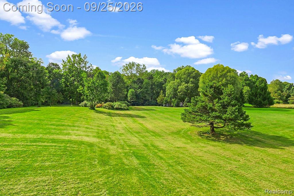 6776 Farley Road Property Photo 35