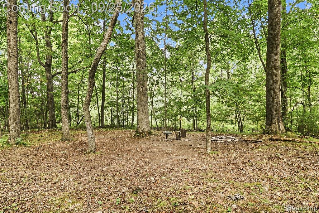 6776 Farley Road Property Photo 46