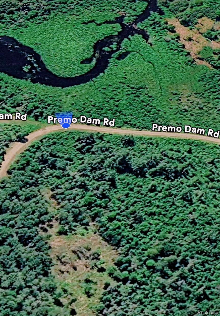 Vl 79 Acres Premo Dam Road Property Photo 2