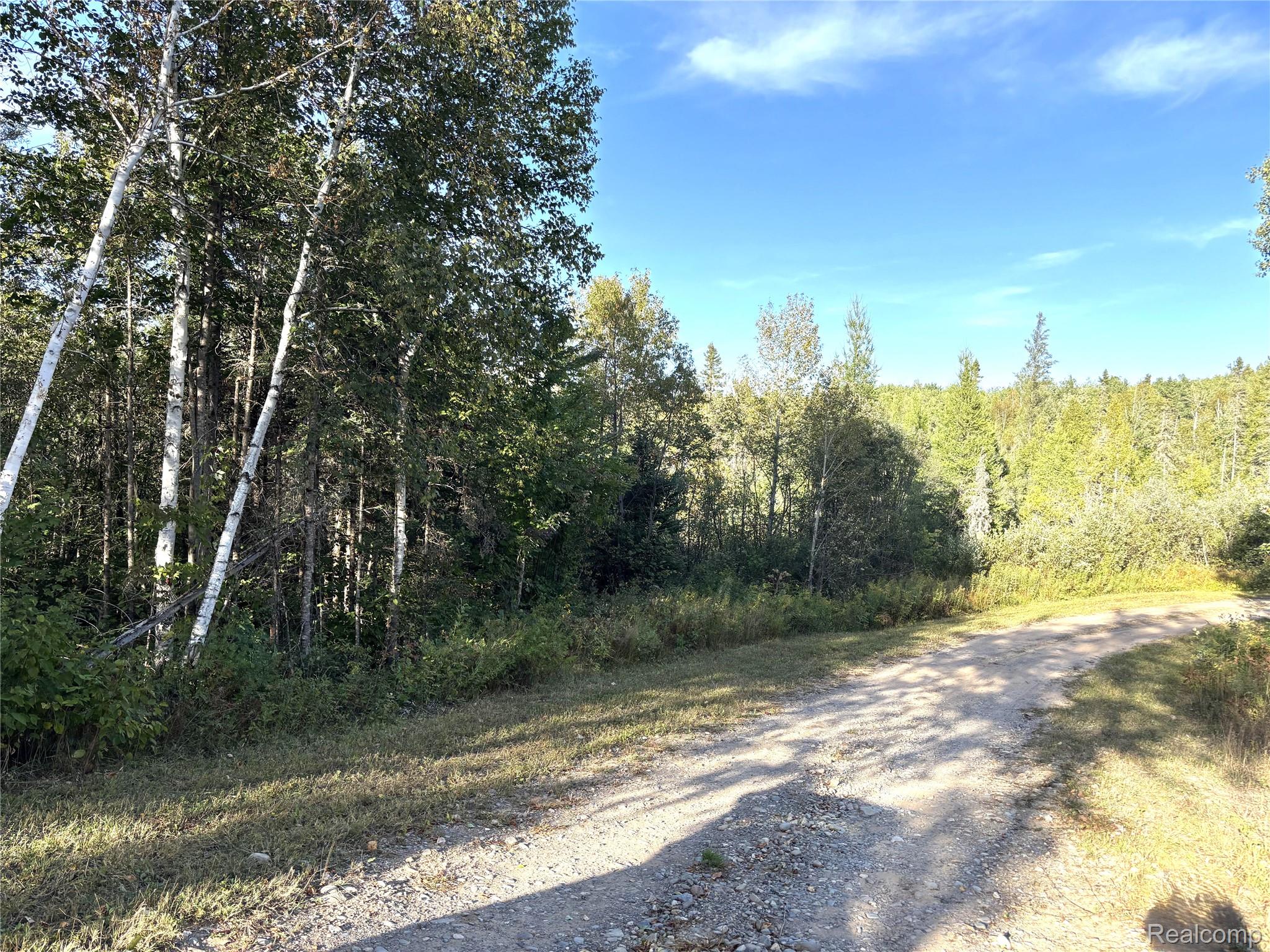 Vl 79 Acres Premo Dam Road Property Photo 3
