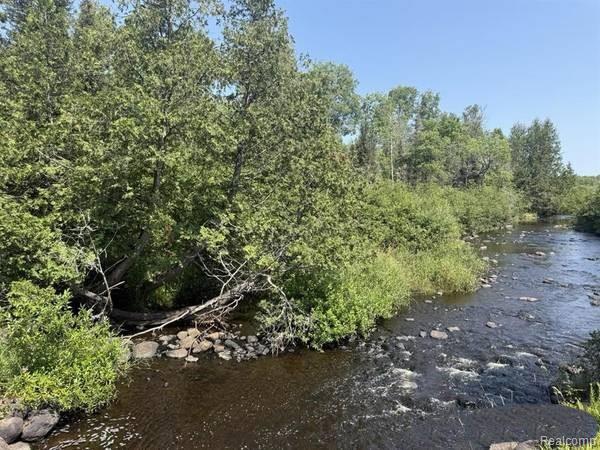 Vl 79 Acres Premo Dam Road Property Photo 4