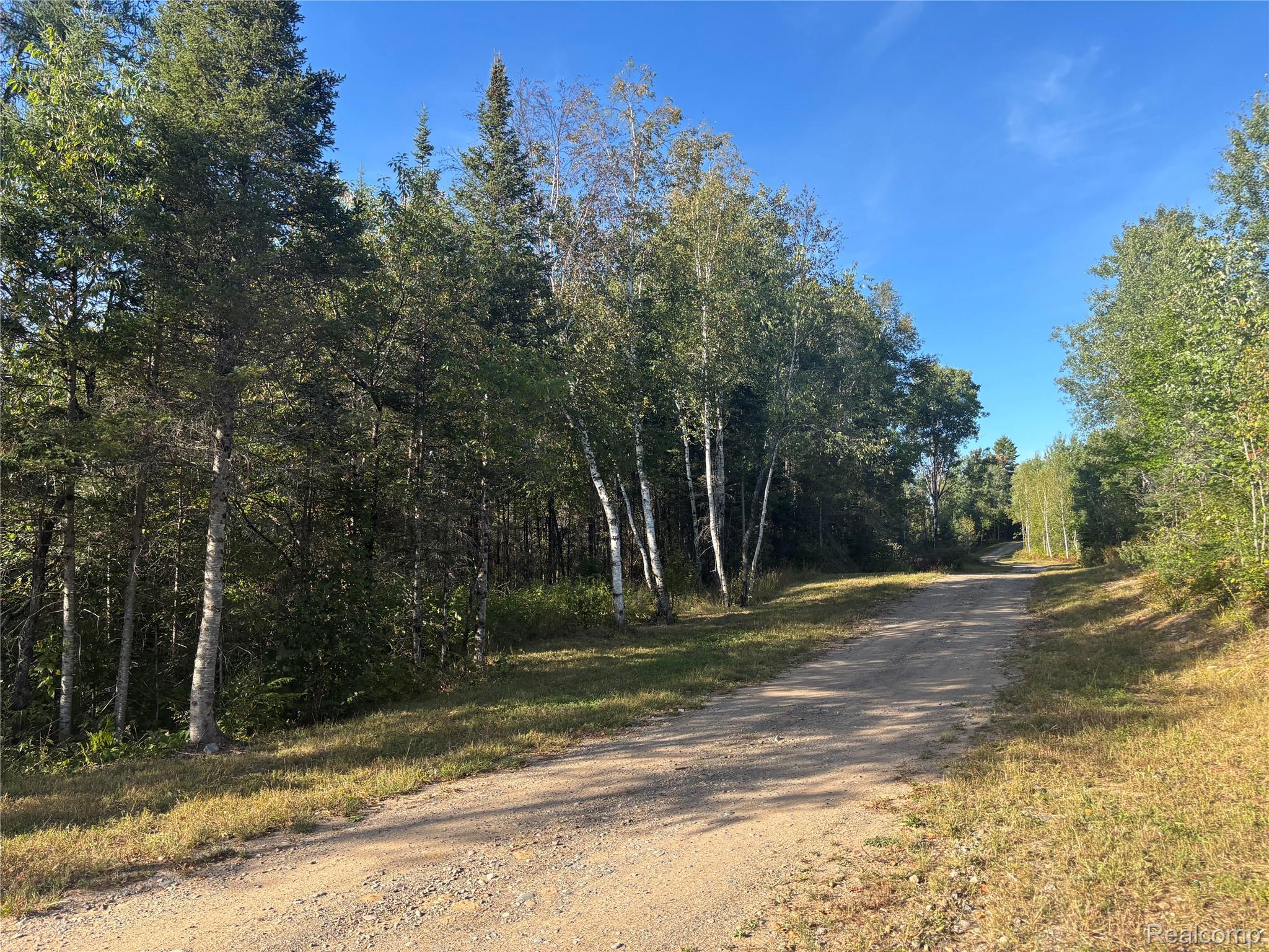 Vl 79 Acres Premo Dam Road Property Photo 5