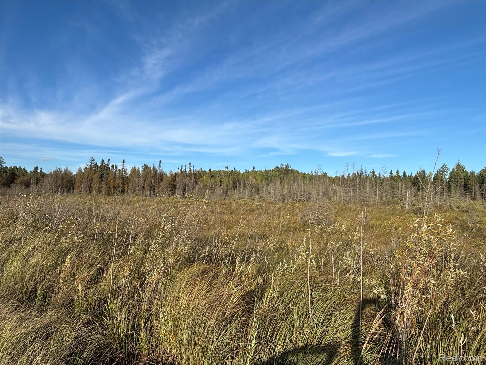 Vl 79 Acres Premo Dam Road Property Photo 6