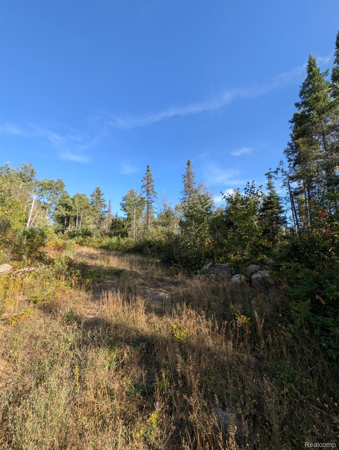 Vl 79 Acres Premo Dam Road Property Photo 8