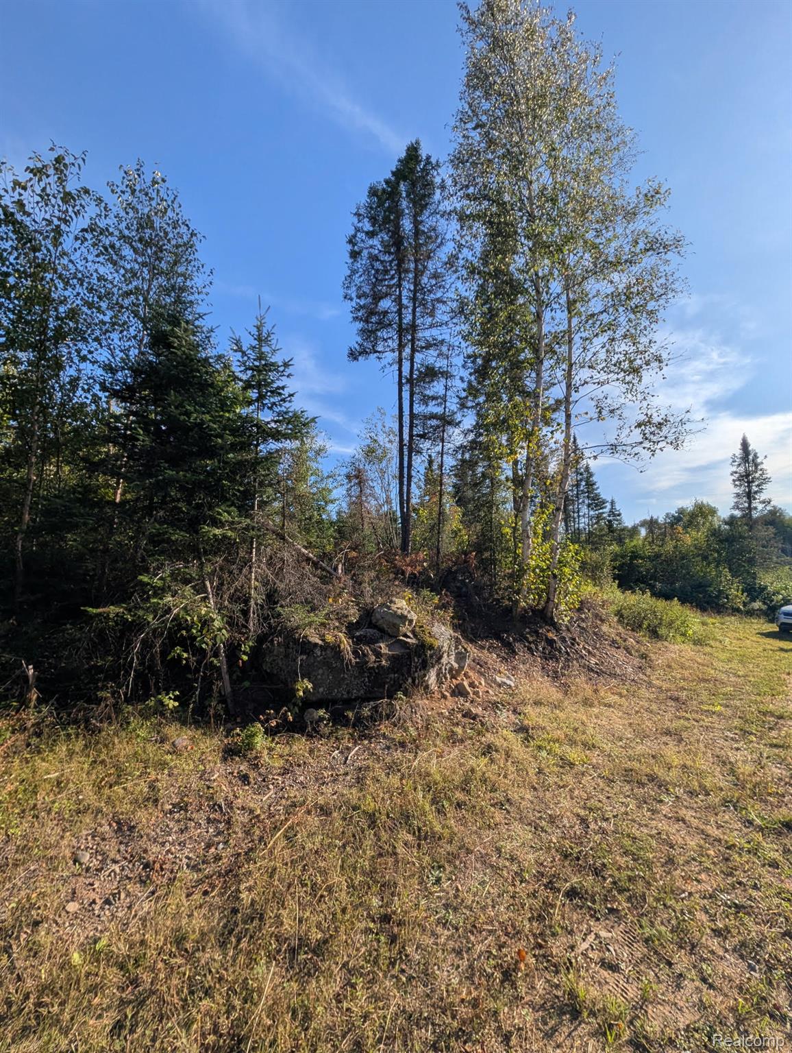 Vl 79 Acres Premo Dam Road Property Photo 10