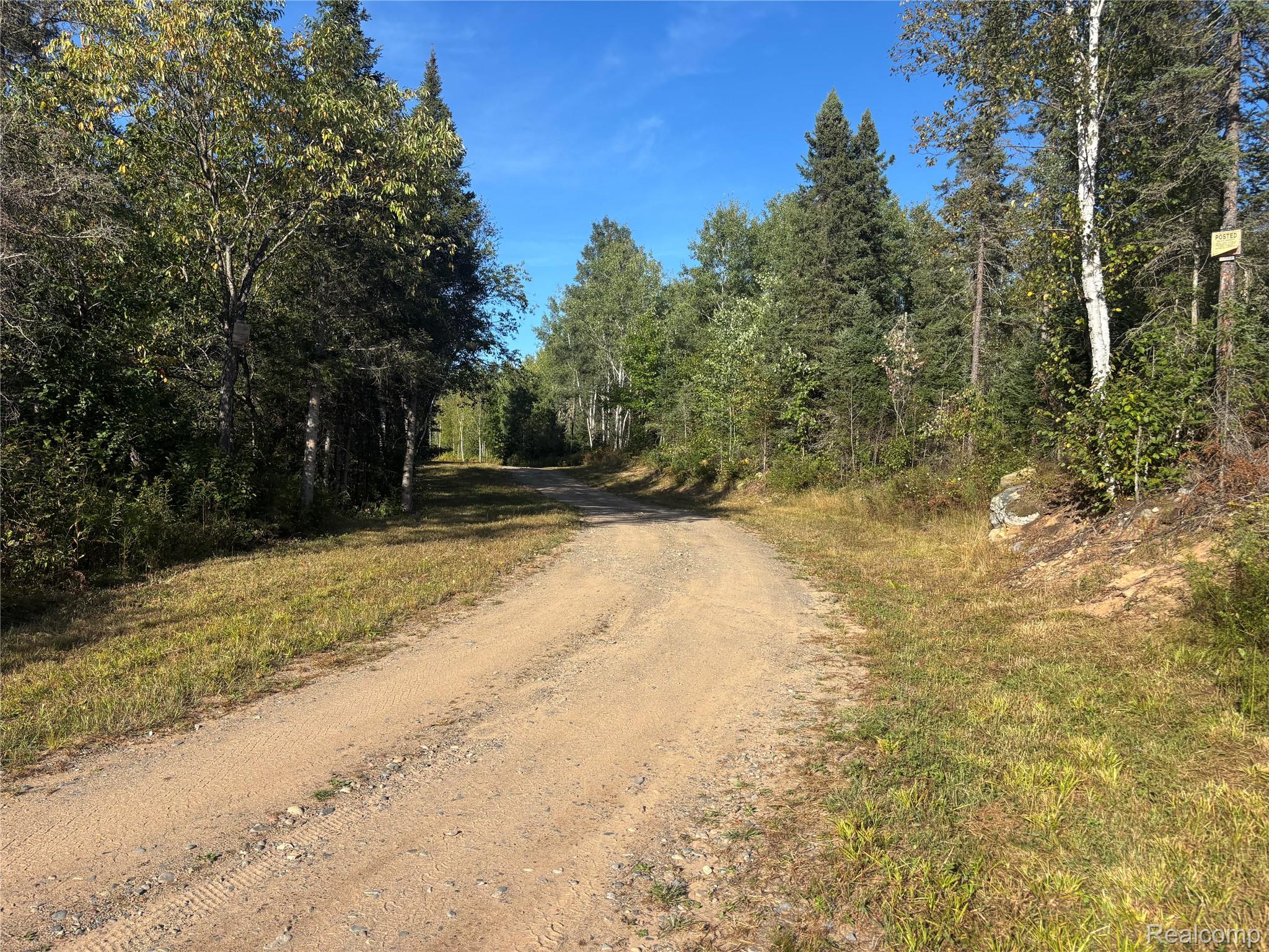 Vl 79 Acres Premo Dam Road Property Photo 11