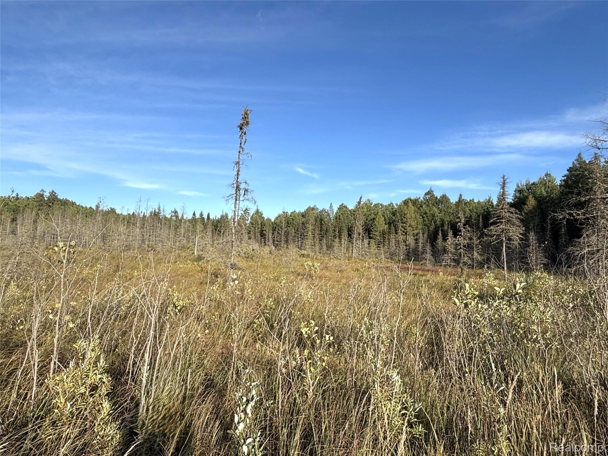 Vl 79 Acres Premo Dam Road Property Photo 12