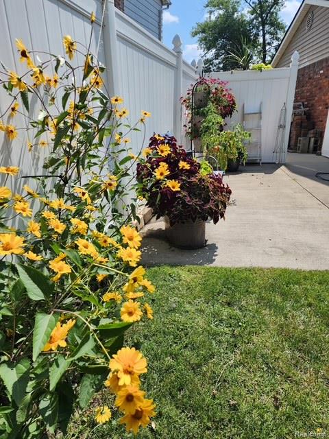 1149 Selma Street Property Photo 64