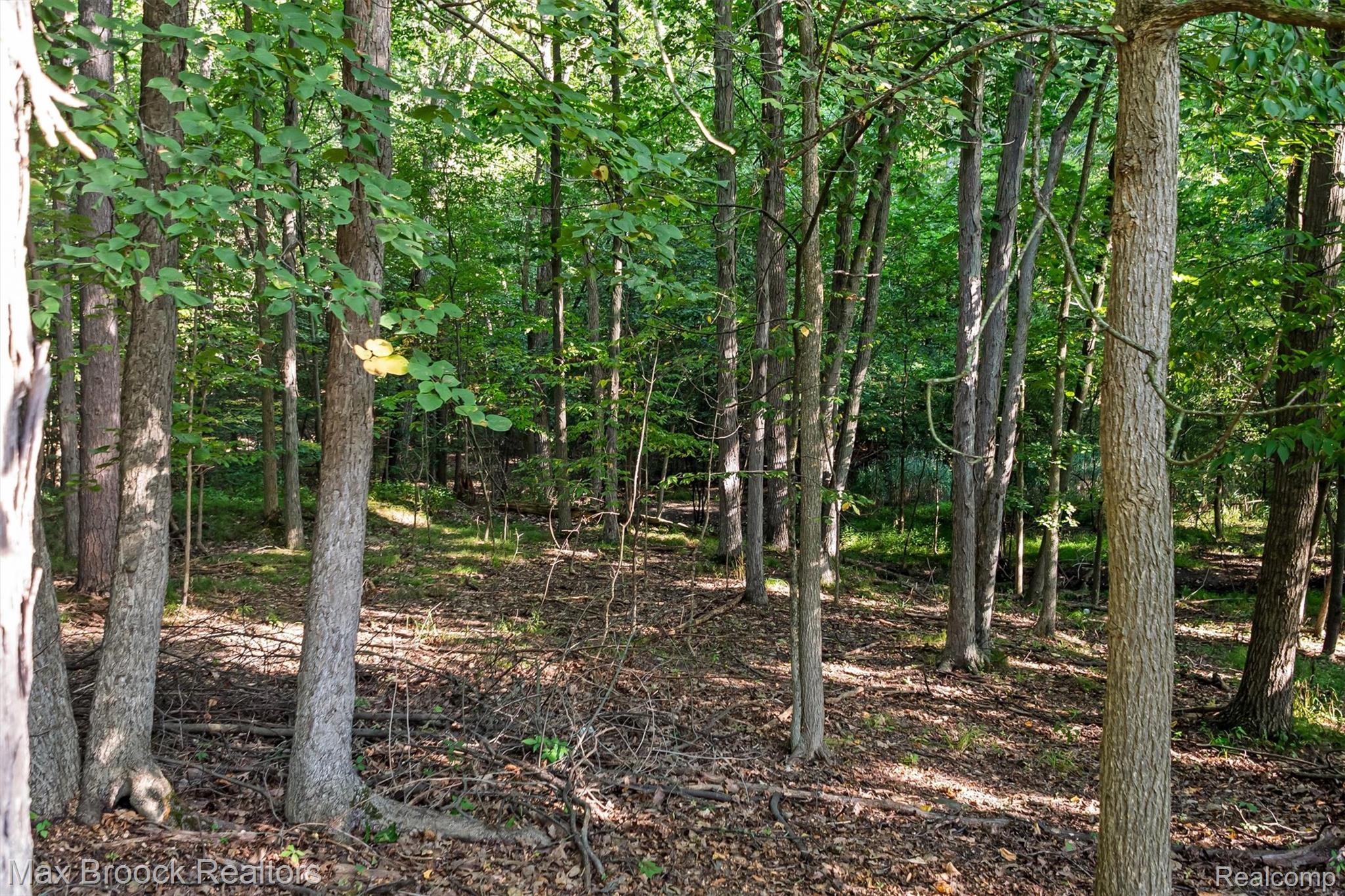 4904 Woodcliff Hill Road Property Photo 54