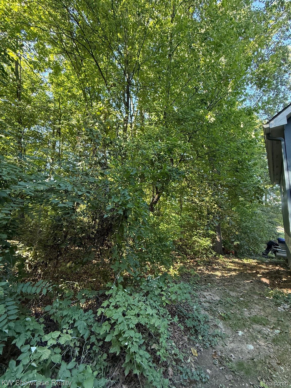 10695 Oxbow Lakeshore Drive Property Photo 13