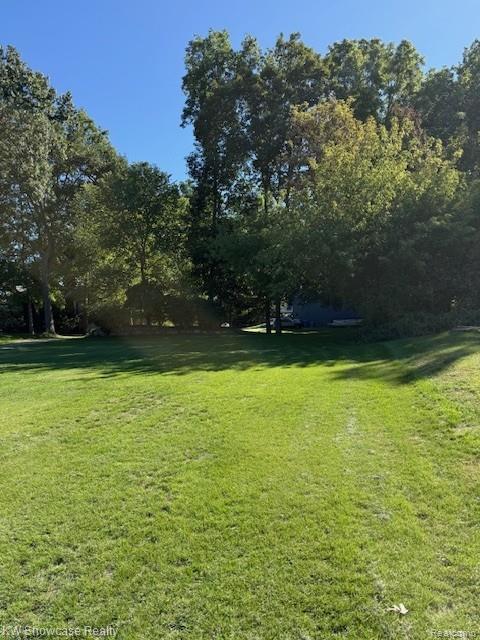 10695 Oxbow Lakeshore Drive Property Photo 15