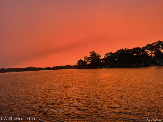 10695 Oxbow Lakeshore Drive Property Photo 29