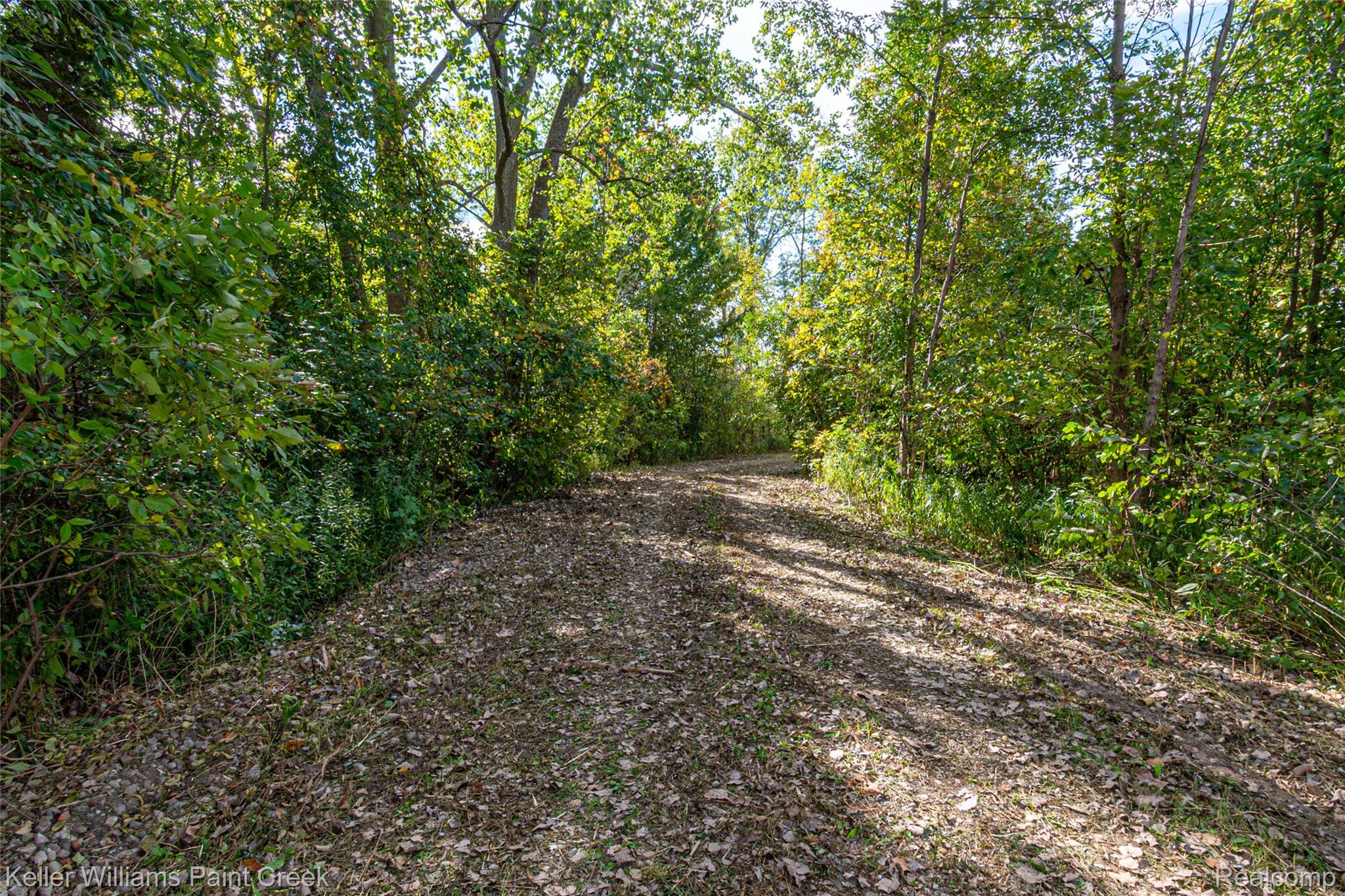 7699 Arnold Road Property Photo 3
