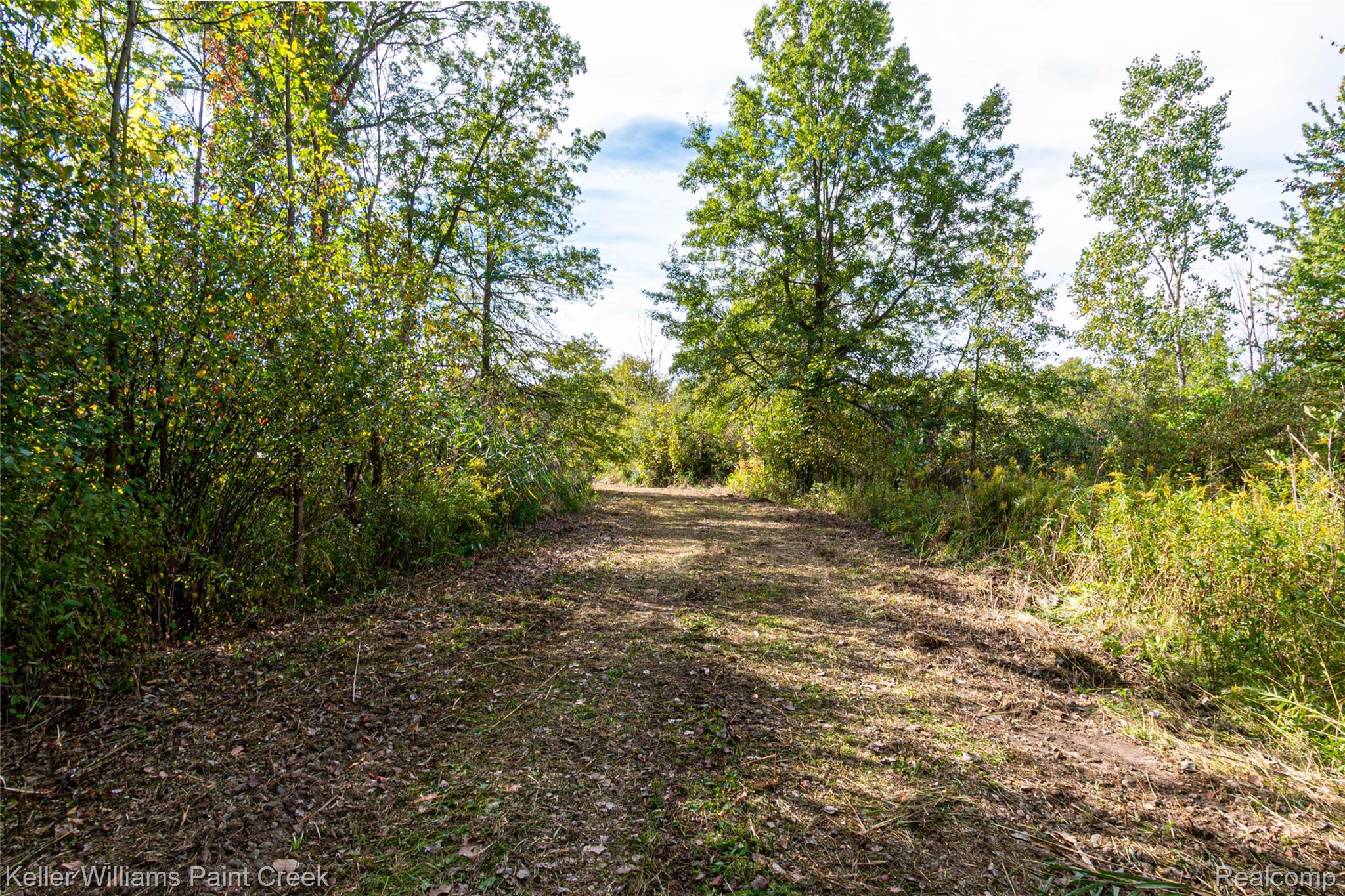7699 Arnold Road Property Photo 4