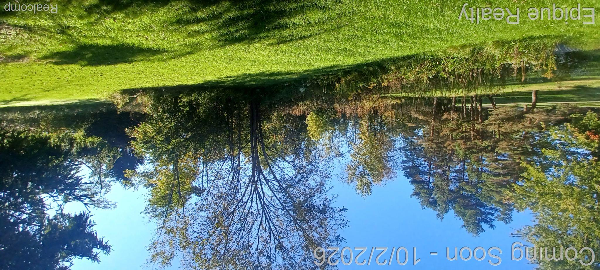 10535 Brandon Road Property Photo 14