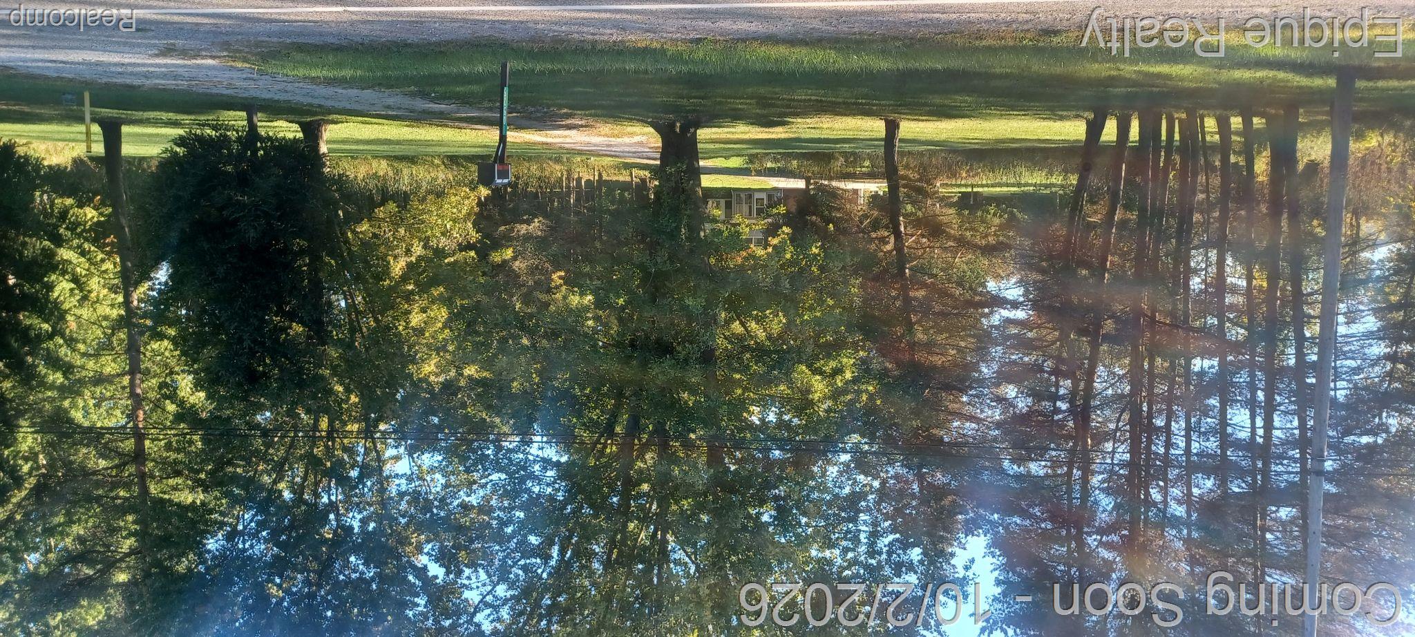 10535 Brandon Road Property Photo 29