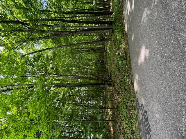 Lot 4 Deskin Drive Property Photo 6