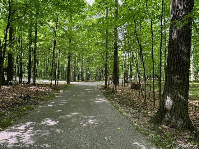 Lot 4 Deskin Drive Property Photo 8