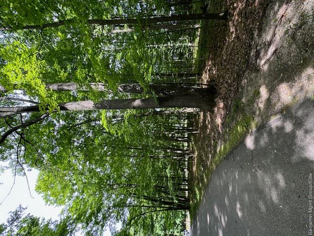Lot 4 Deskin Drive Property Photo 9